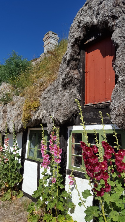 Læsø Museum, Museumsgården